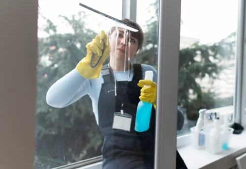 Nettoyage de vitres intérieures et extérieures à Champfromier